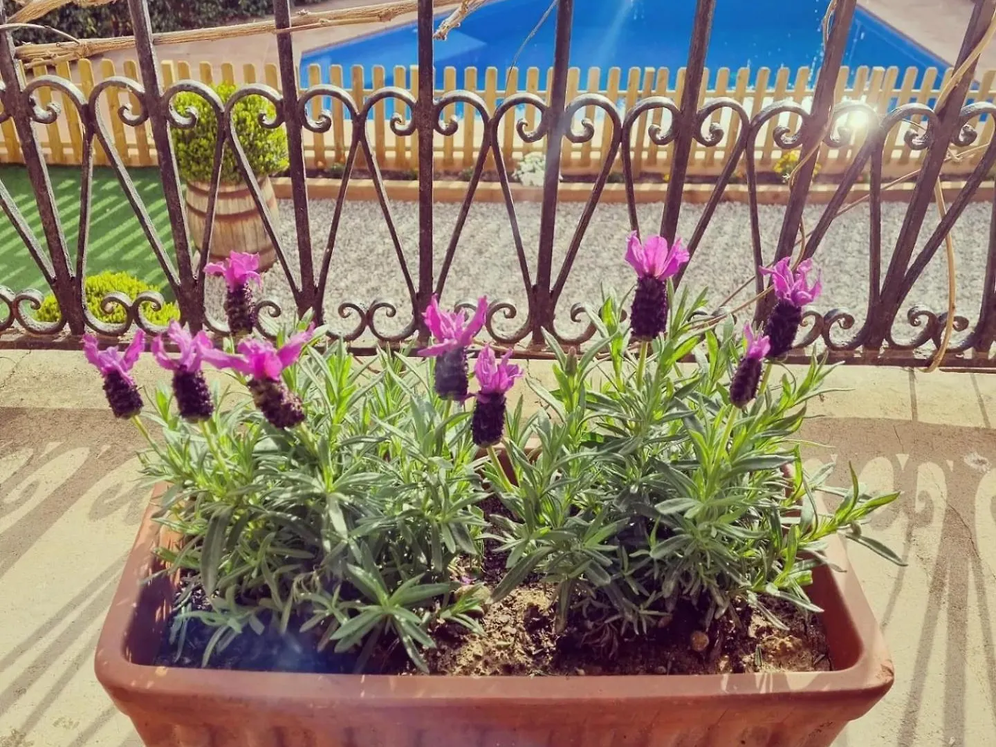 Casa Con Piscina Privada En Gualta, Can Blay 0*, Gualta Spanje